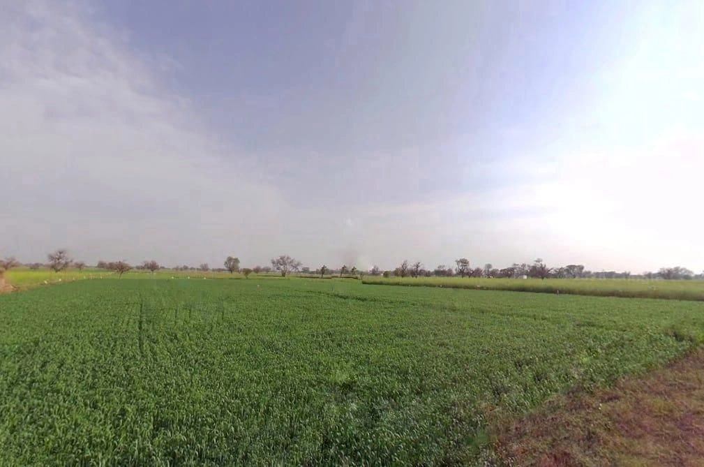 Badka, Rajasthan, India