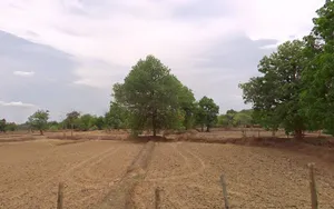 Pandri Pani, Chhattisgarh, India preview 3