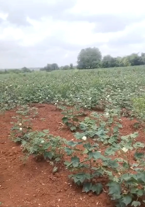 FPX7+6QH, Vikarabad, Damasthapur, Telangana, India