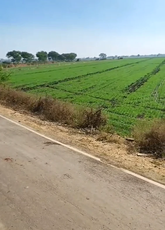 Bandka, Ujjain, Madhya Pradesh 456006, India