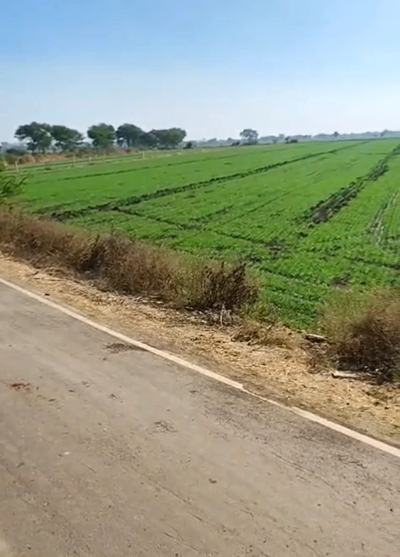 Bandka, Ujjain, Madhya Pradesh 456006, India