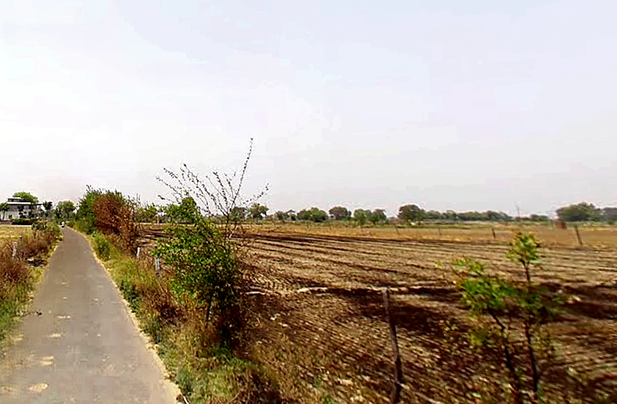 Nanua Ka Razapur, Uttar Pradesh 203201, India