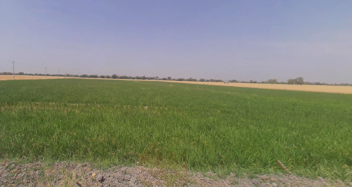 Dongarpal, Maharashtra 416511, India