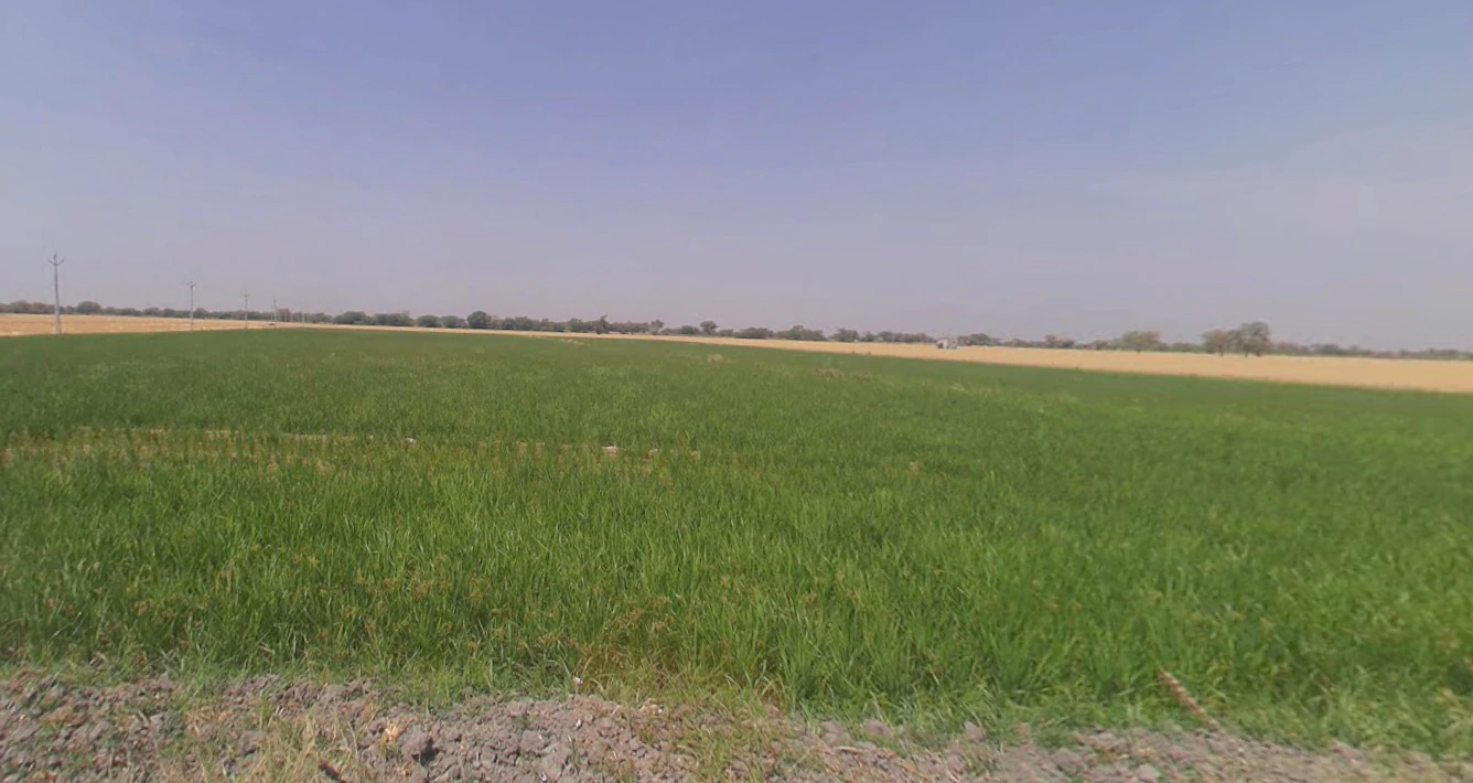 Dongarpal, Maharashtra 416511, India