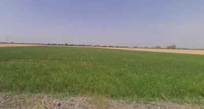 Dongarpal, Maharashtra 416511, India preview 3