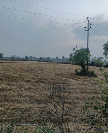 Lalpur Hamir, Uttar Pradesh 244001, India