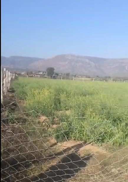 Kali Khol, Rajasthan 301001, India