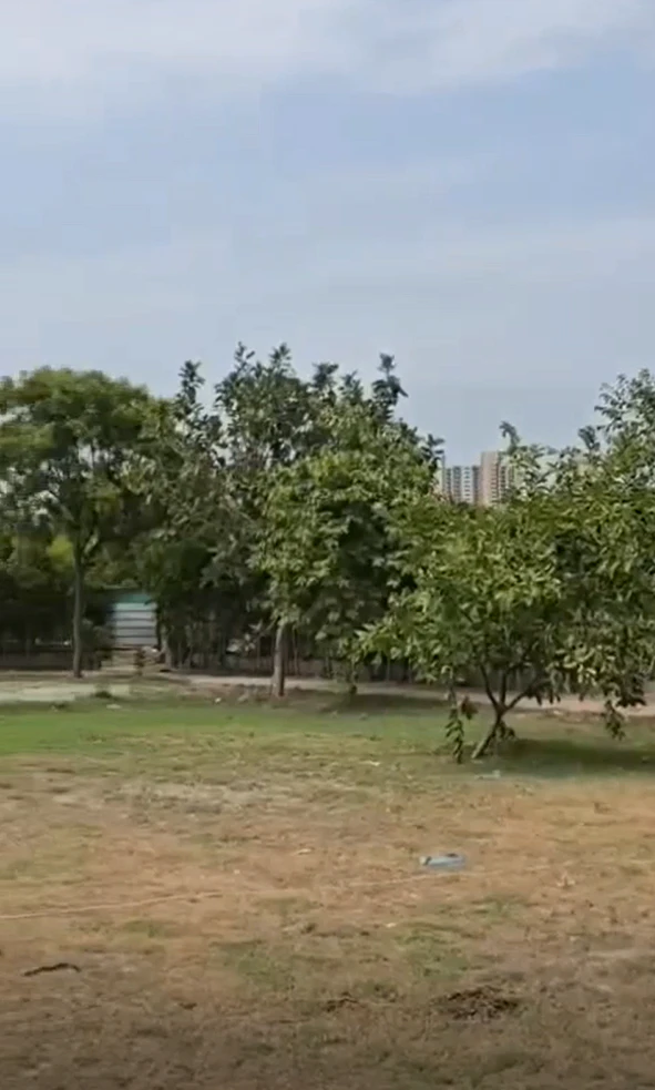 CQ2C+3X4, Alwar, Bader, Rajasthan 321633, India