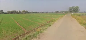Roziya, Gujarat 361210, India preview 2