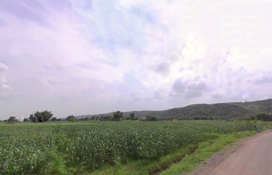 Papra, Rajasthan, India