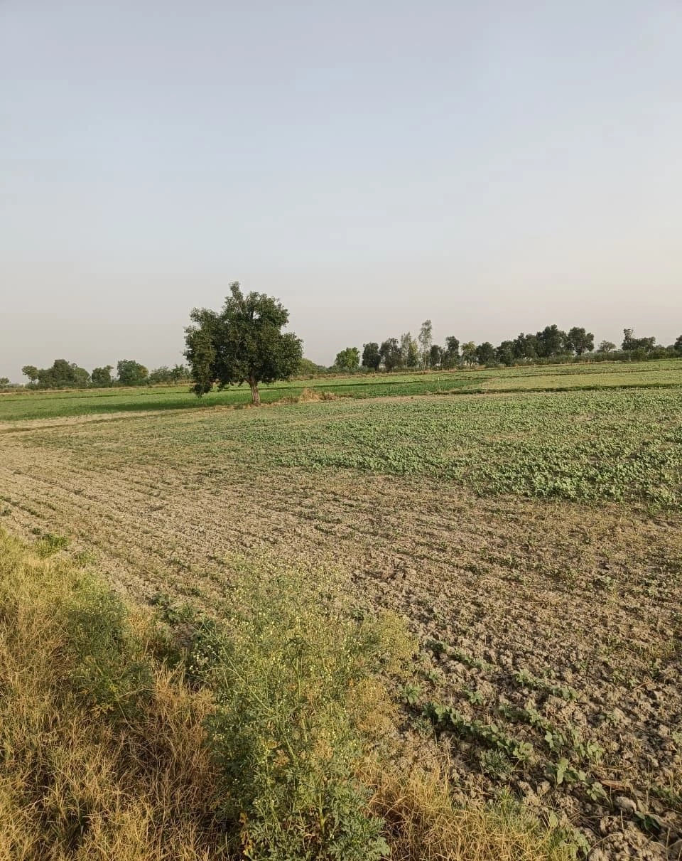 Beejwa, Rajasthan, India