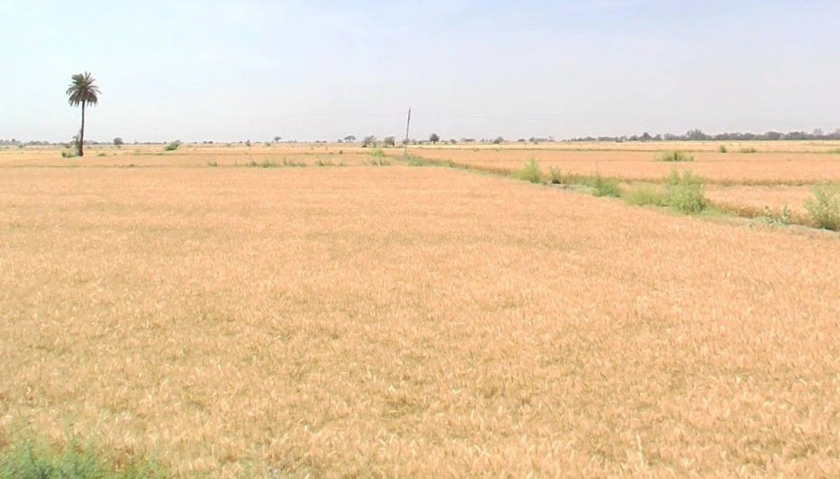 Badagaon, Gwalior, Madhya Pradesh 474006, India