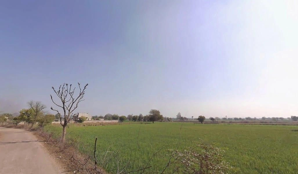 Pinan, Rajasthan, India