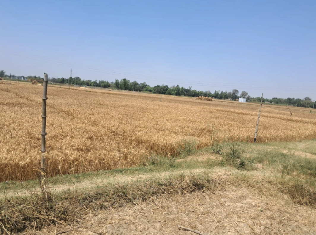 Solda - Jewer Rd, Jewar, Uttar Pradesh, India