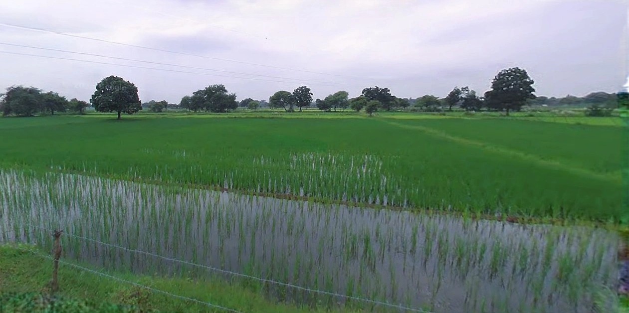 Hapur, Uttar Pradesh 245101, India