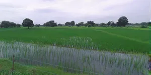 Hapur, Uttar Pradesh 245101, India preview 2