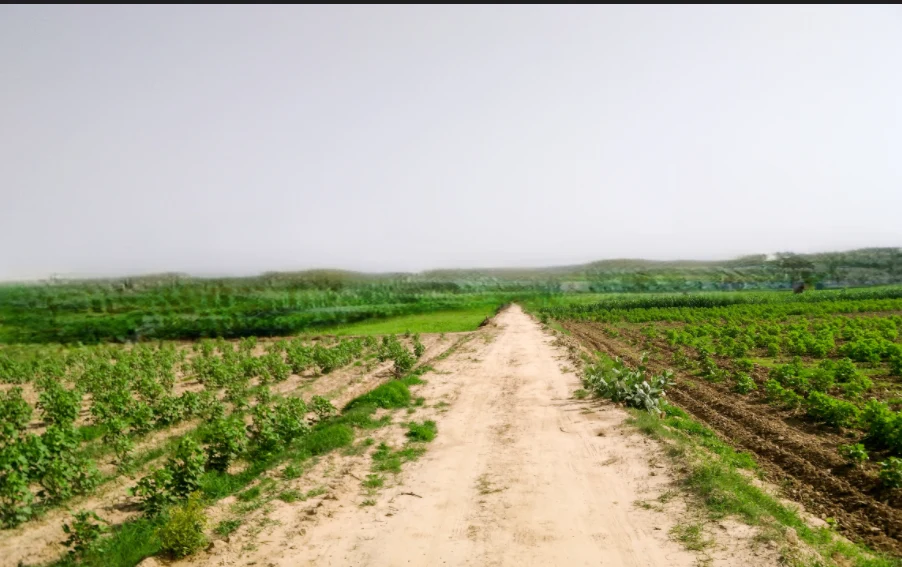PG7P+J69, Simga - Kawardha Rd, Berla, Bemetara, Chhattisgarh 491335, India preview 2