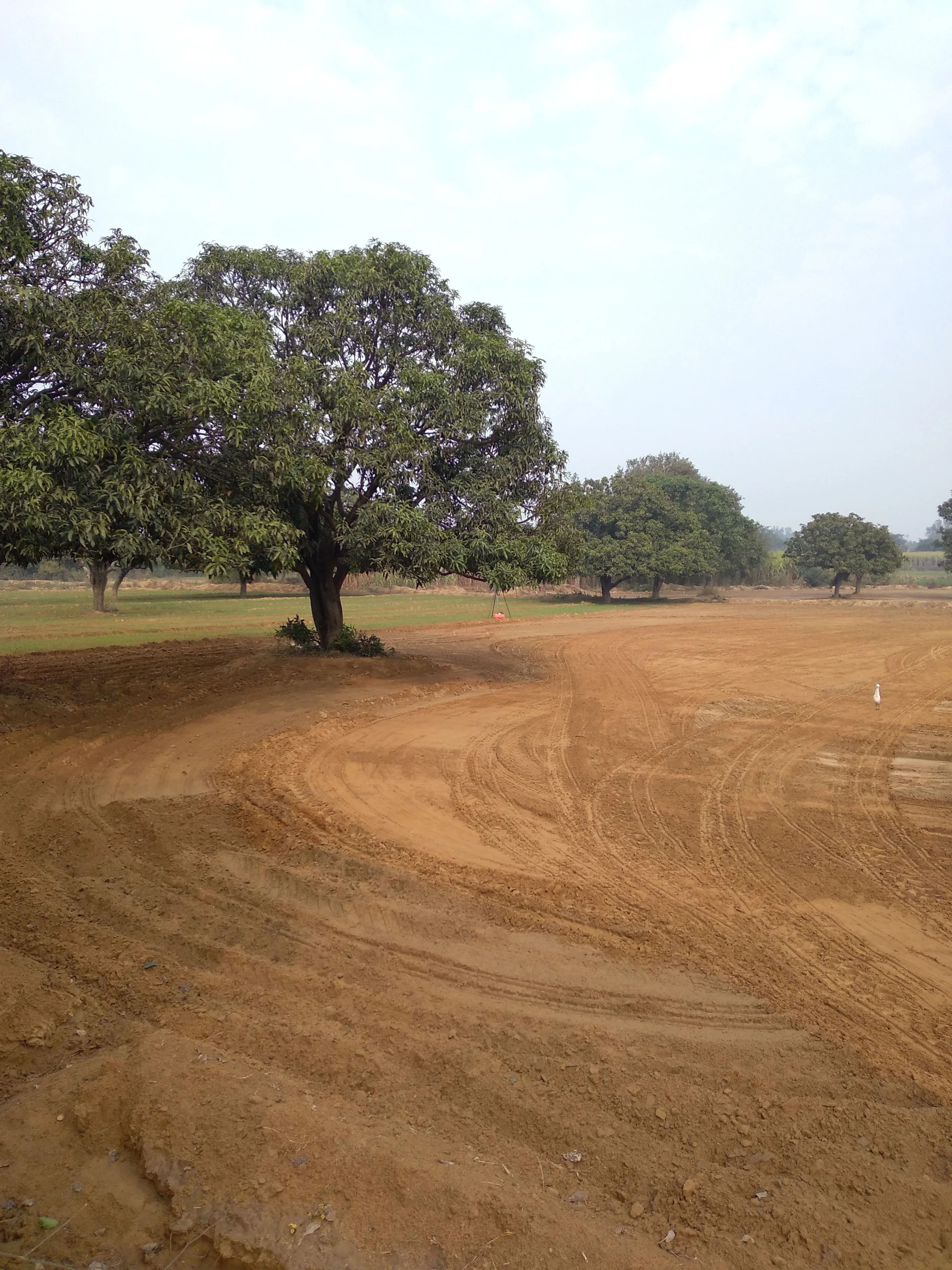 Aonla, Uttar Pradesh 243301, India