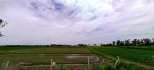 Thano, Uttarakhand 248143, India preview 2