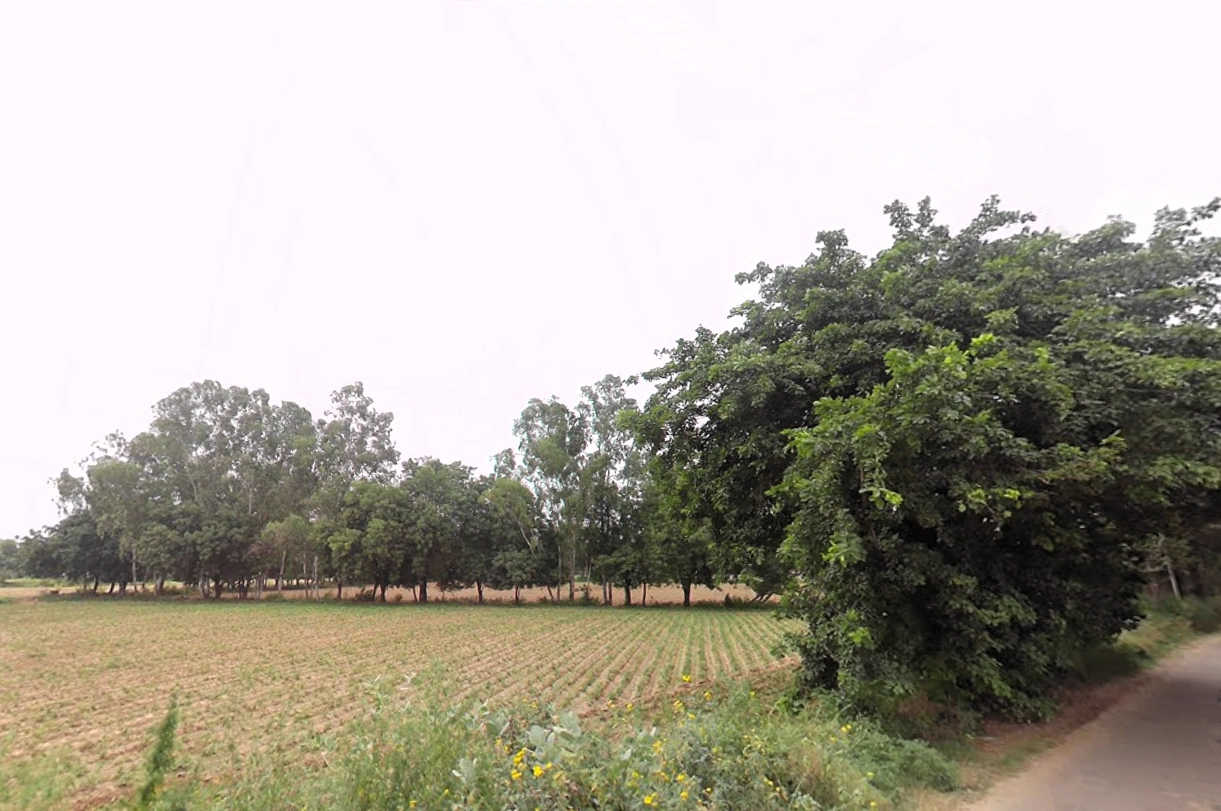 734Q+G5C, Sector 5, Sohna, Sohna Rural, Haryana 122103, India