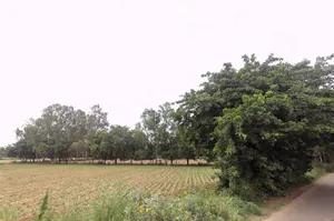 734Q+G5C, Sector 5, Sohna, Sohna Rural, Haryana 122103, India preview 3