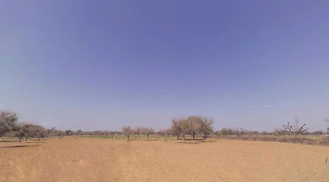 Samer, Rajasthan 332602, India