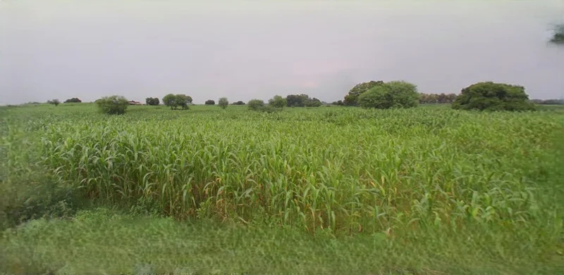 Sri Ganganagar, Rajasthan, India preview 2