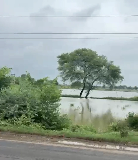 WV3H+83 Shahna, Indore, Madhya Pradesh, India