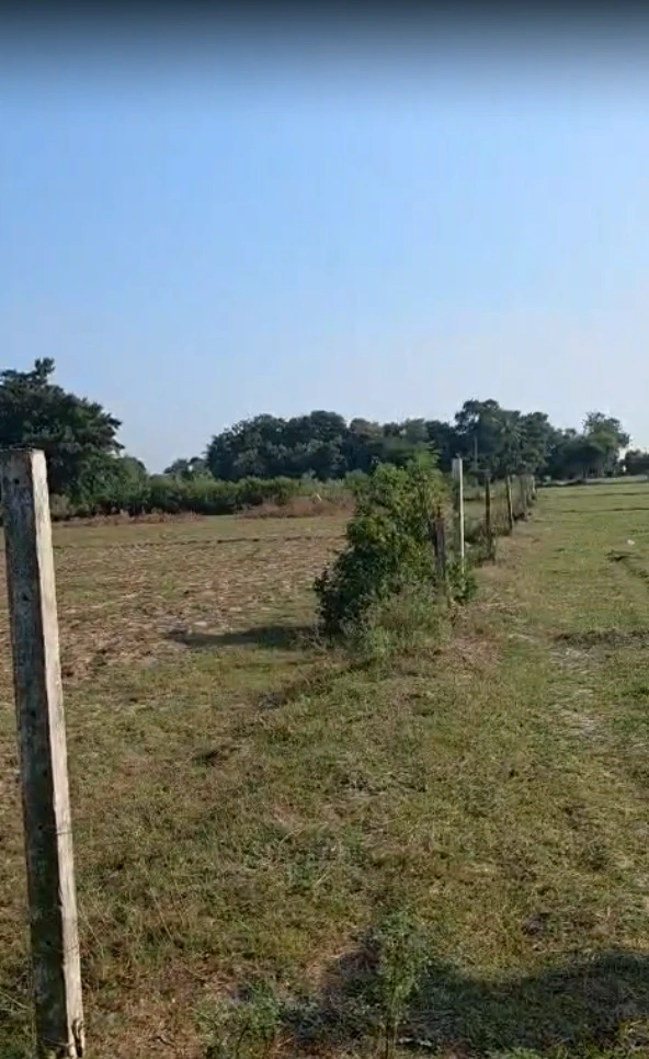MXV6+P9 Surasamal, Kheda, Gujarat, India