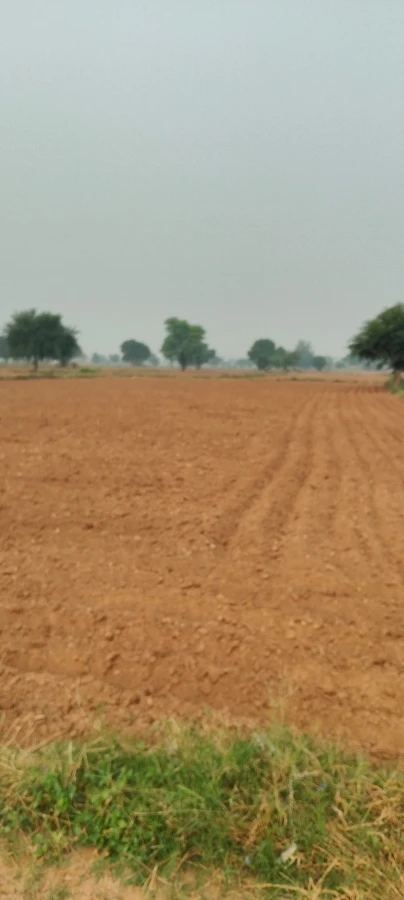Chidwai, Rajasthan 301026, India