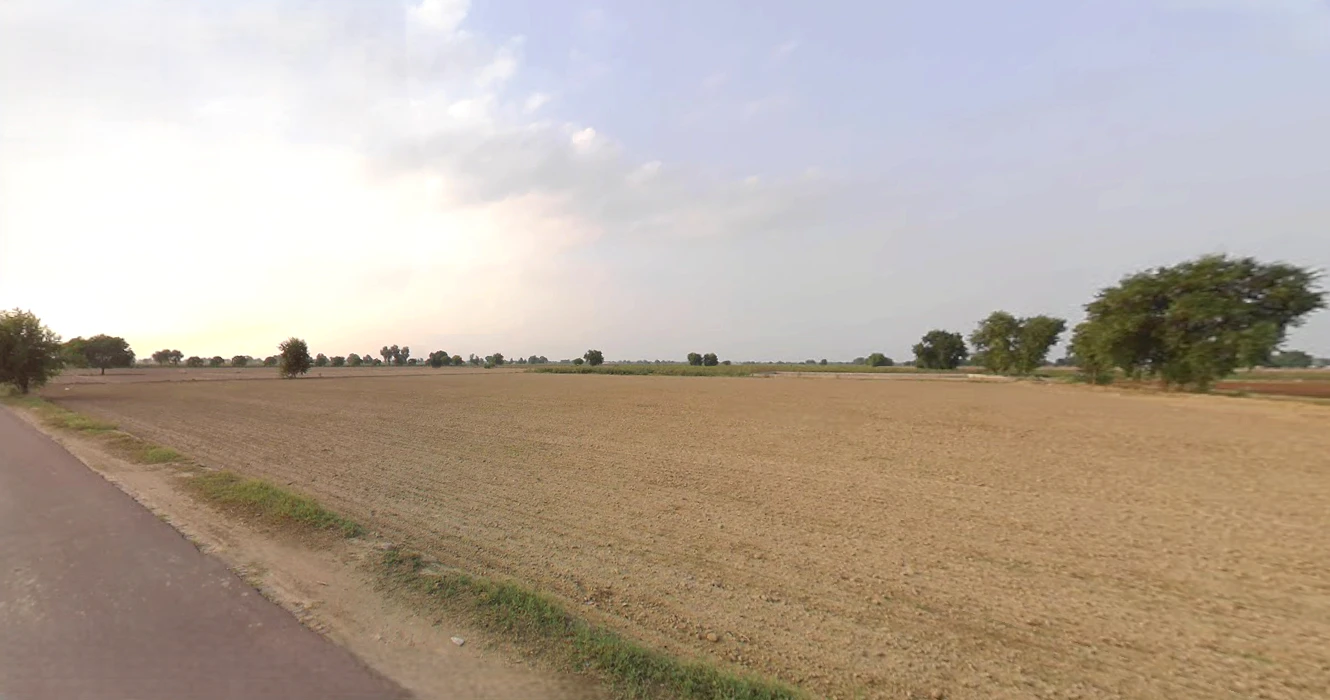 Kaluana, Haryana 125103, India