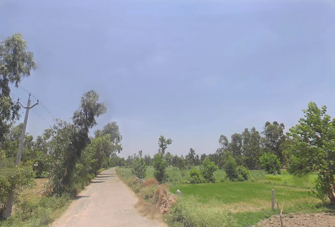 Moradabad, Tajpur Mafi, Uttar Pradesh 244001, India