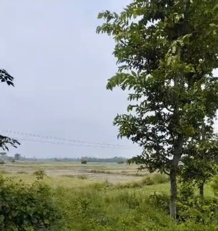 7CVP+5C9, Bhopal, Madhya Pradesh, India preview 3