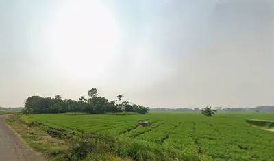 MC24+P37, Doctor Bagan, Bediapara, North Dumdum, West Bengal 700065, India preview 3