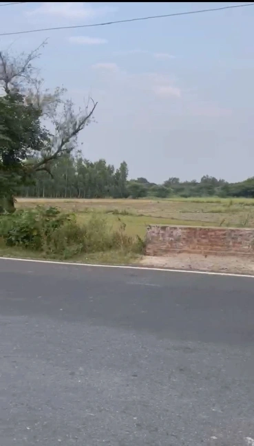Sandila, Uttar Pradesh 241204, India