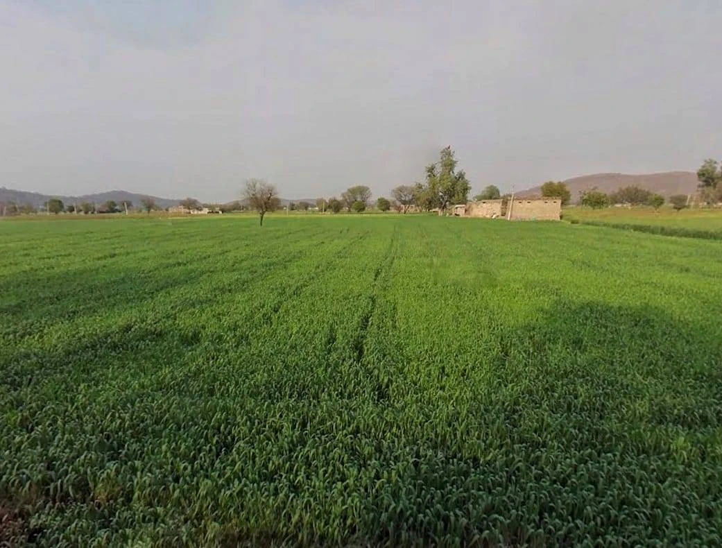 CQRQ+89Q, Pali, Rajasthan 301001, India