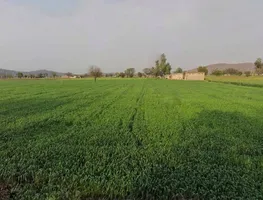 CQRQ+89Q, Pali, Rajasthan 301001, India preview 2