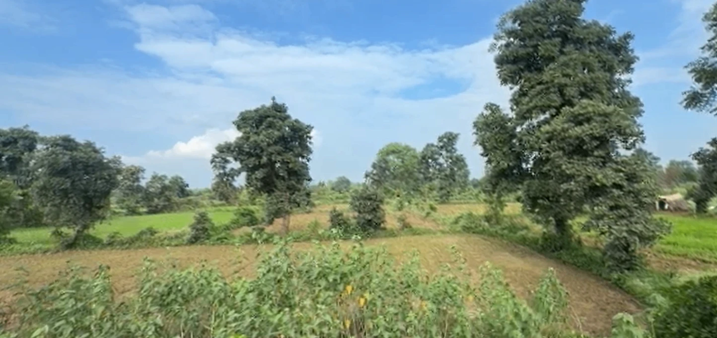 100, Jabalpur, Sihora, Madhya Pradesh 483225, India