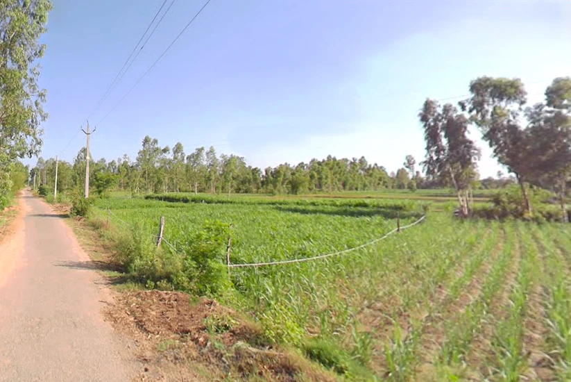 G2JG+GQW, Katpura, Bhopatpur, Uttar Pradesh 262122, India