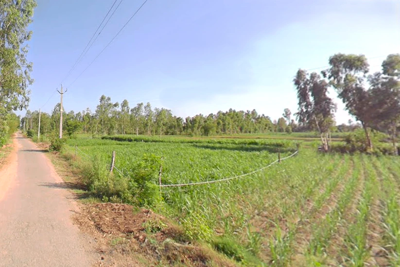 G2JG+GQW, Katpura, Bhopatpur, Uttar Pradesh 262122, India