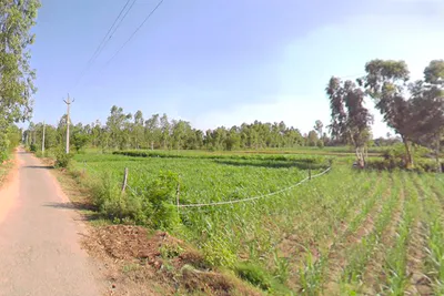 G2JG+GQW, Katpura, Bhopatpur, Uttar Pradesh 262122, India preview 3