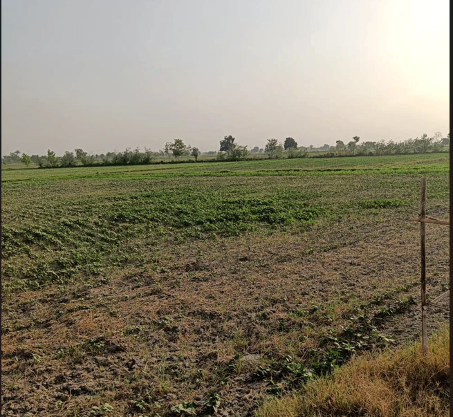Lambra, Punjab 144026, India