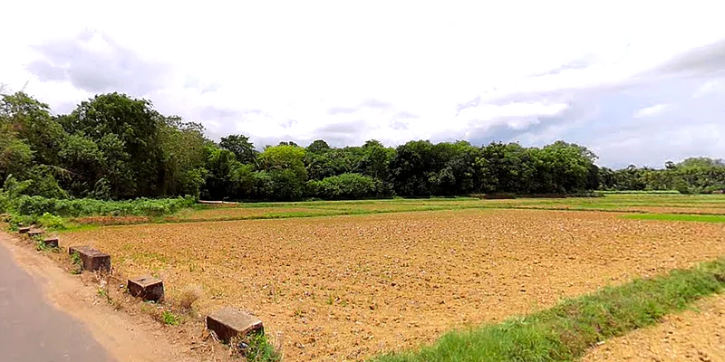 Kayamkulam, Kerala, India preview 2