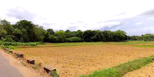 Kayamkulam, Kerala, India preview 2