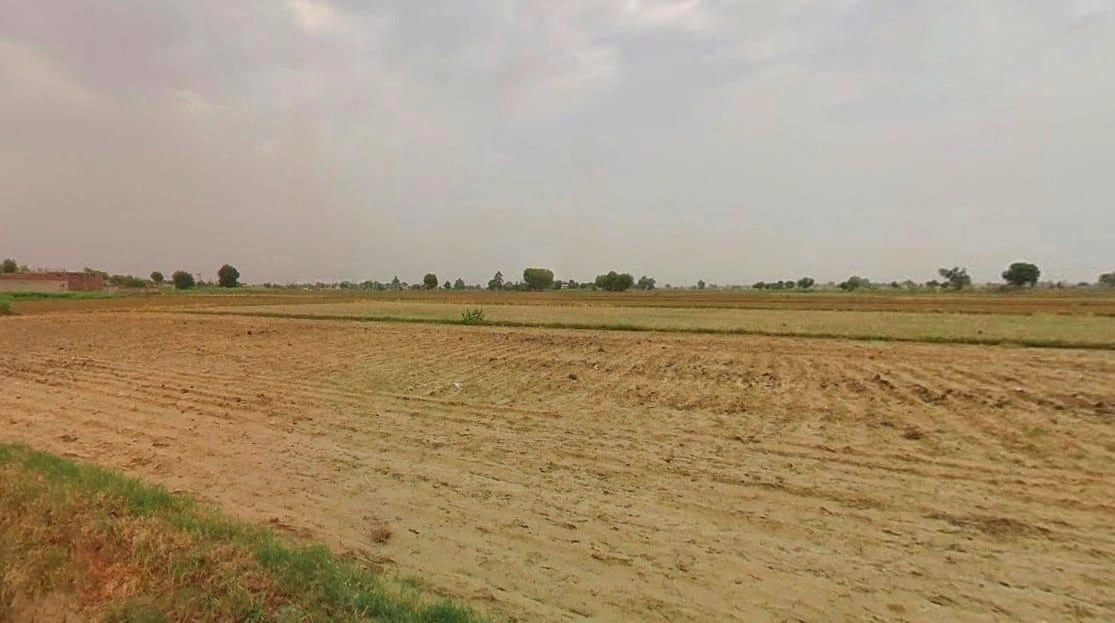 2GC8+6X Tibariya, Rajasthan, India