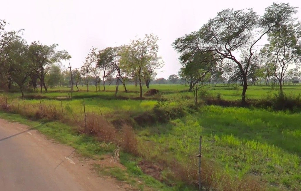 Kapa, Chhattisgarh 491661, India preview 2