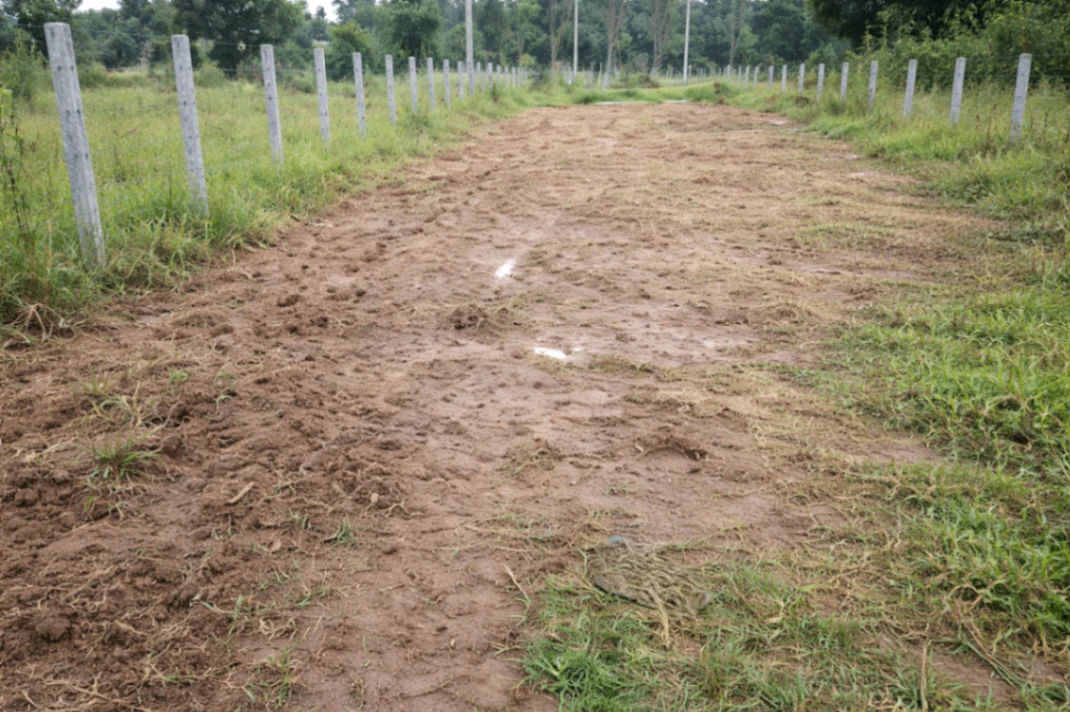 5C6P+8G Kukkanahalli, Karnataka, India