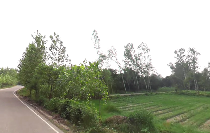 Satpura, Uttar Pradesh 247129, India