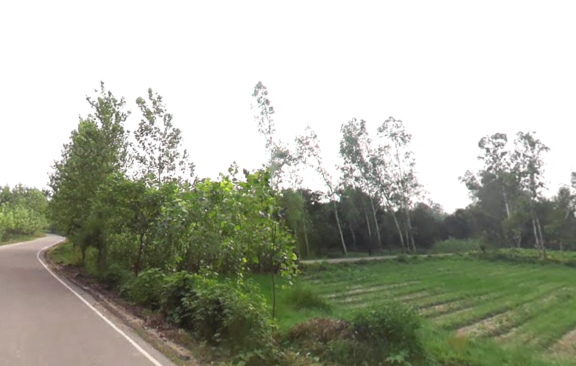Satpura, Uttar Pradesh 247129, India