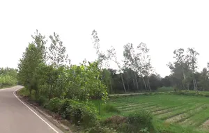Satpura, Uttar Pradesh 247129, India preview 3